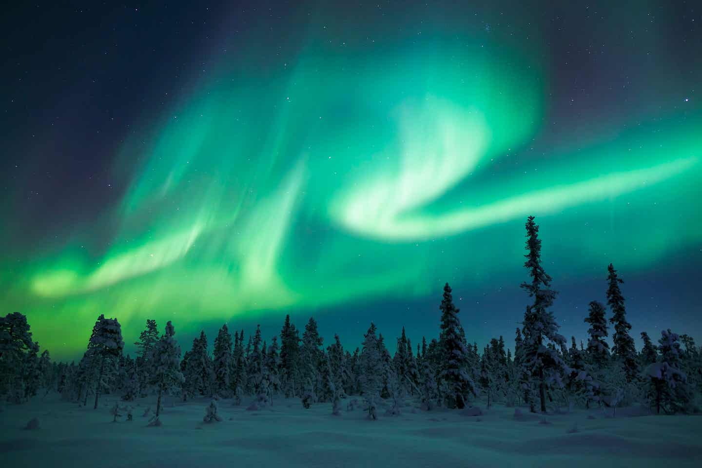 Wo besser die Polarlichter sehen als in Schwedisch-Lappland?