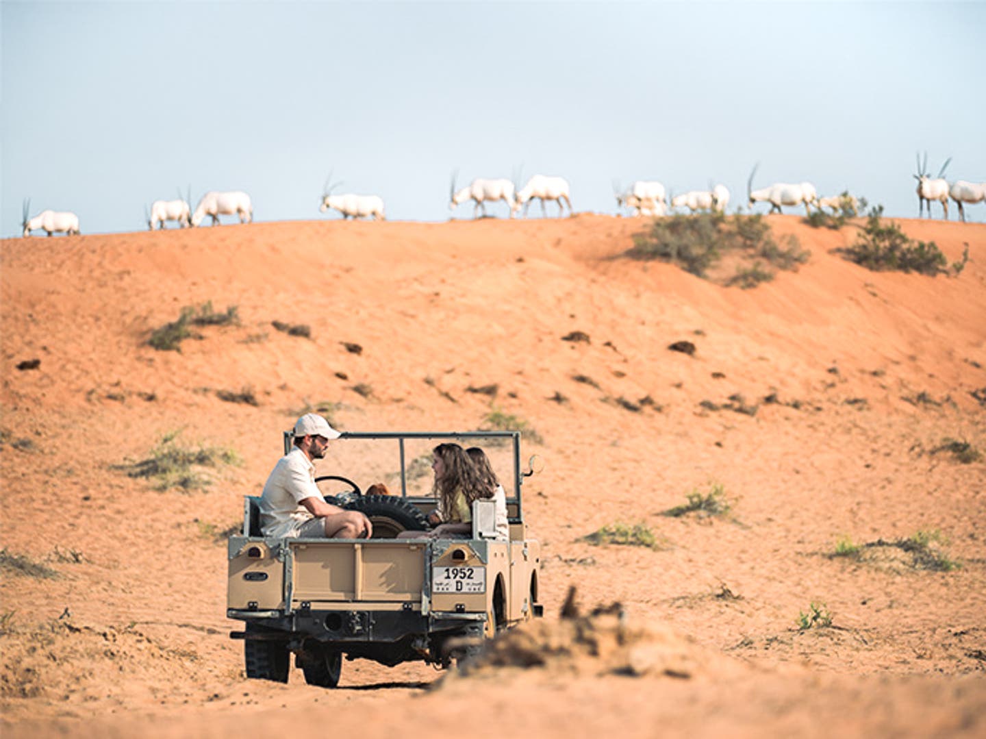 Al Wadi Wüste, Ras al Khaimah
