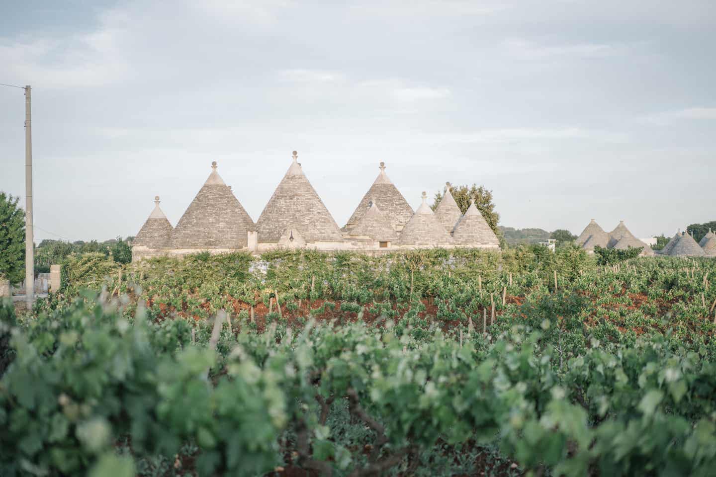 Italien Natur – Itria-Tal in Apulien mit Trulli-Häusern