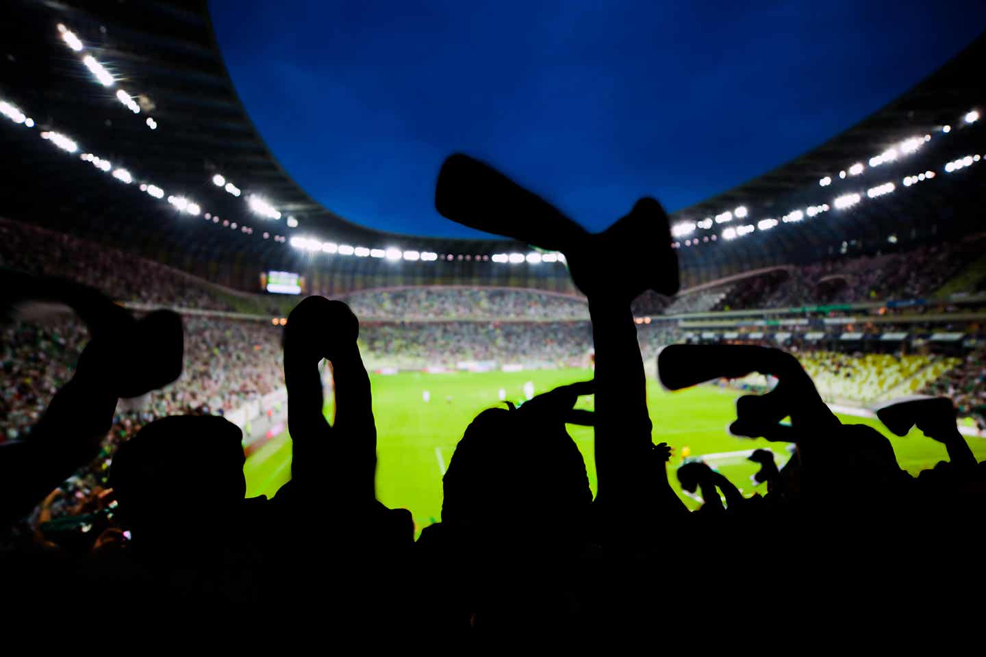 Fußball-Fans im Stadion