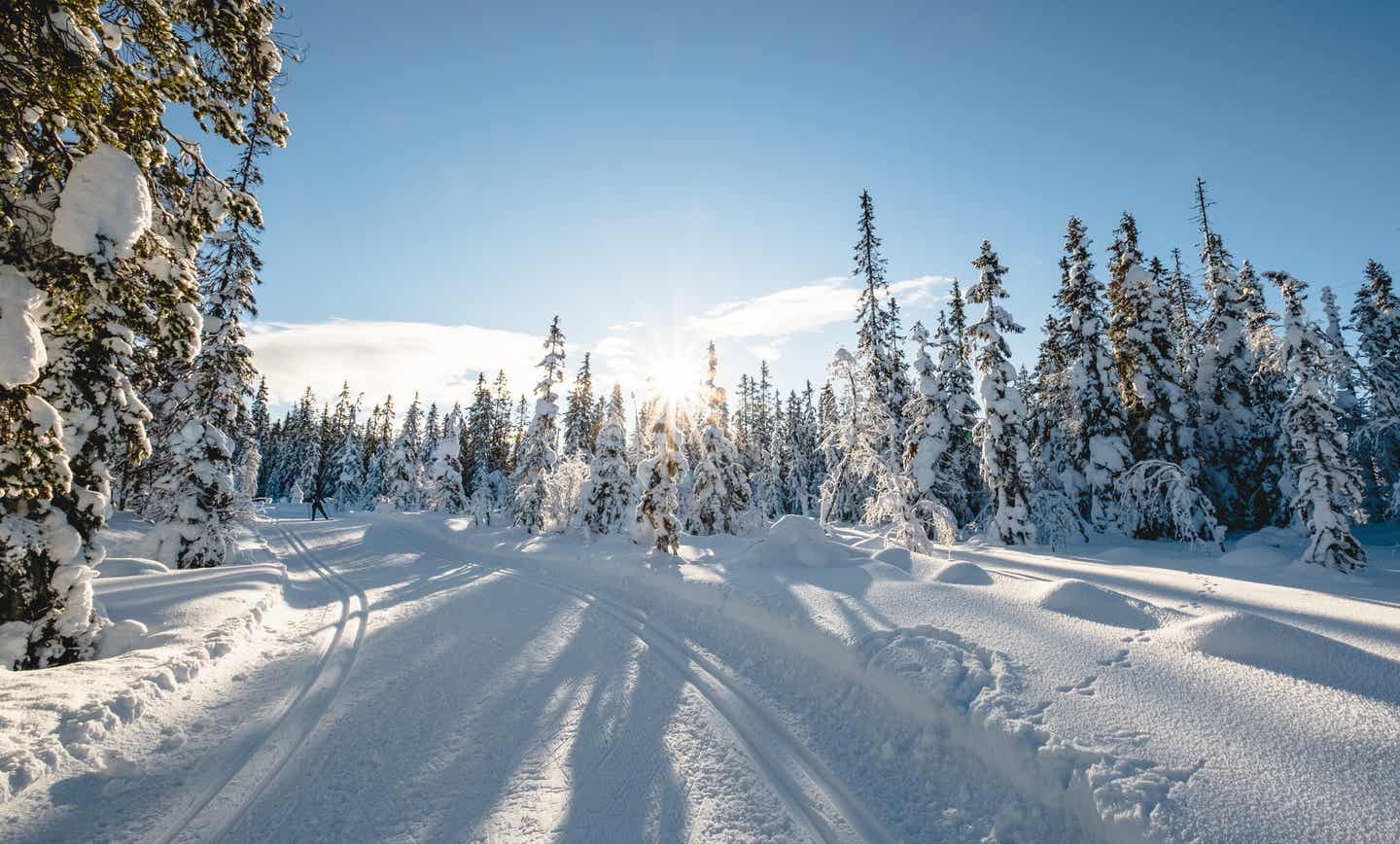 Langlaufloipe in Norwegen