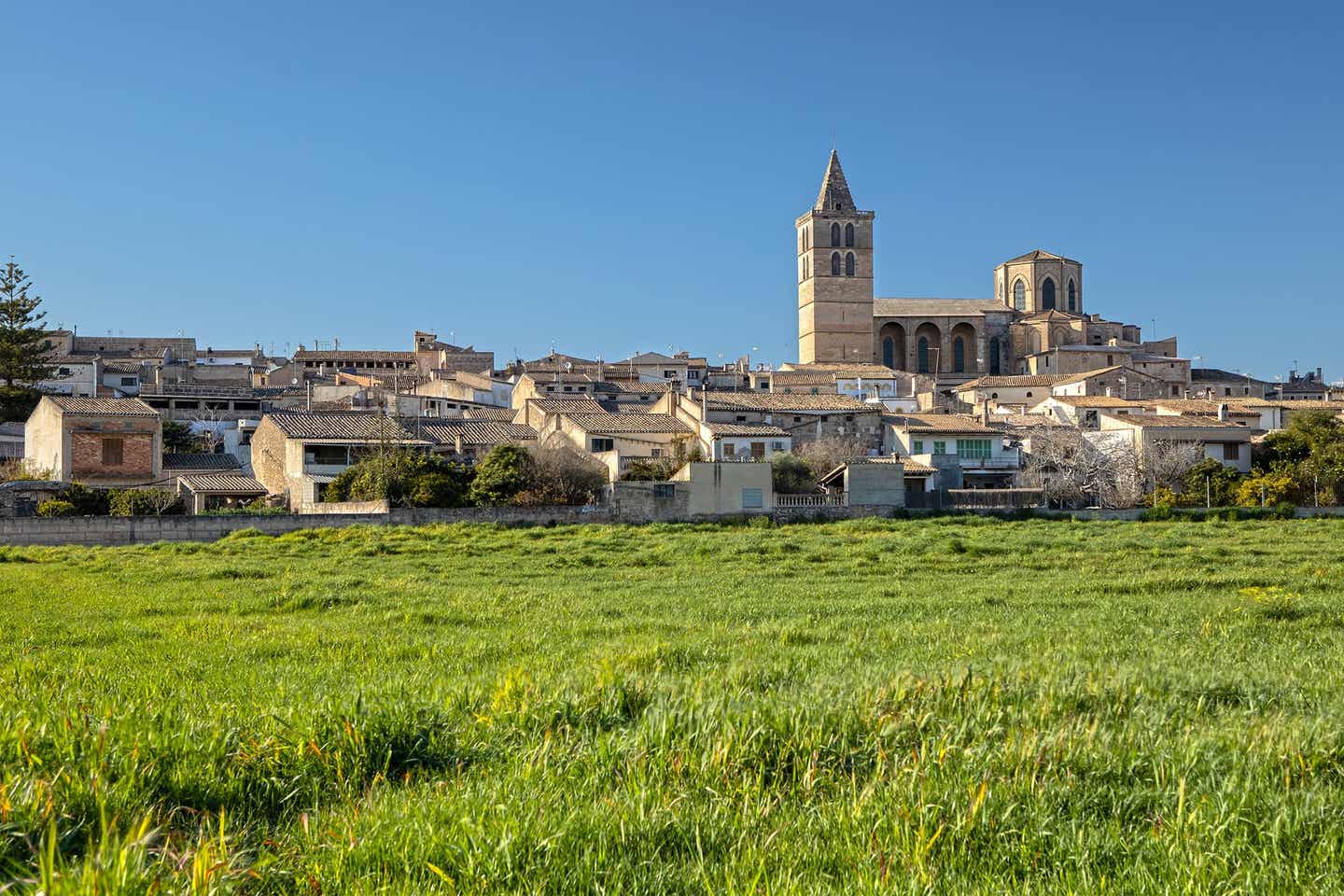 Blick auf die Stadt Sineu