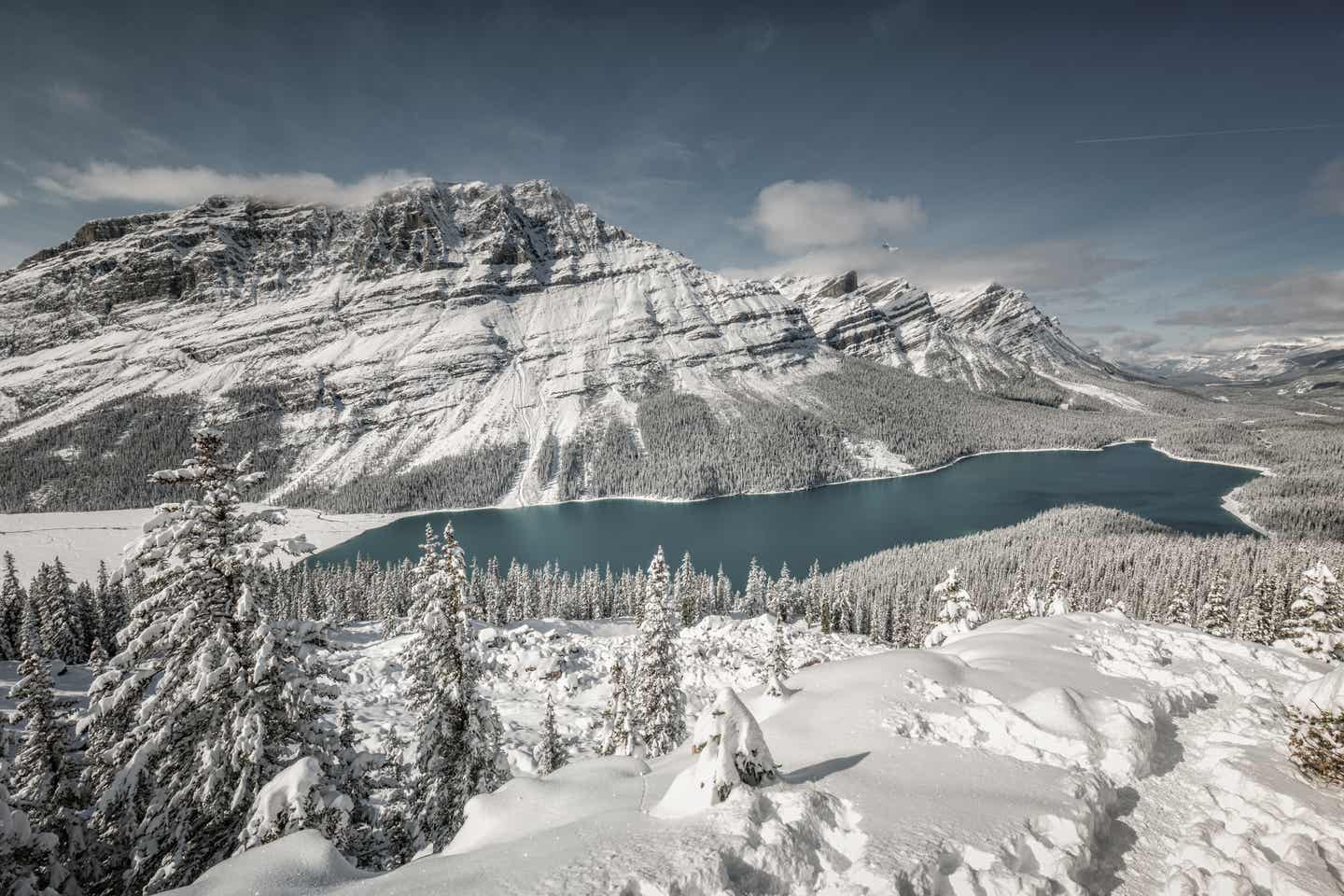 Alberta Urlaub mit DERTOUR. Luftaufnahme des Peyto Lakes im verschneiten Banff-Nationalpark in Alberta