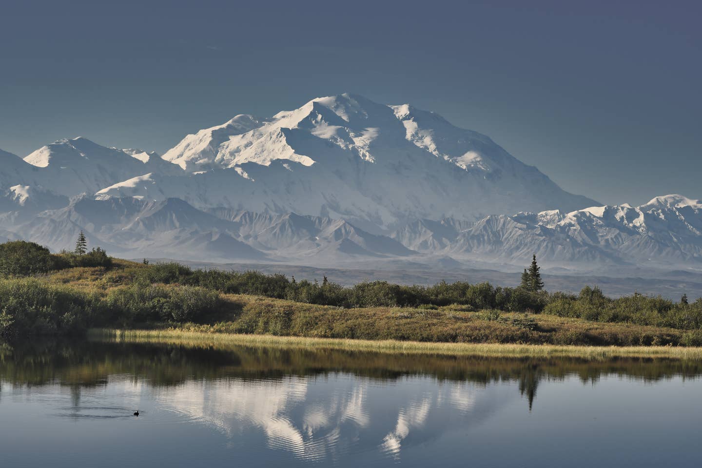 Alaska Urlaub mit DERTOUR. Panoramabild eines Sees im Denali Nationalpark mit schneebedecktem Berggipfel im Hintergrund