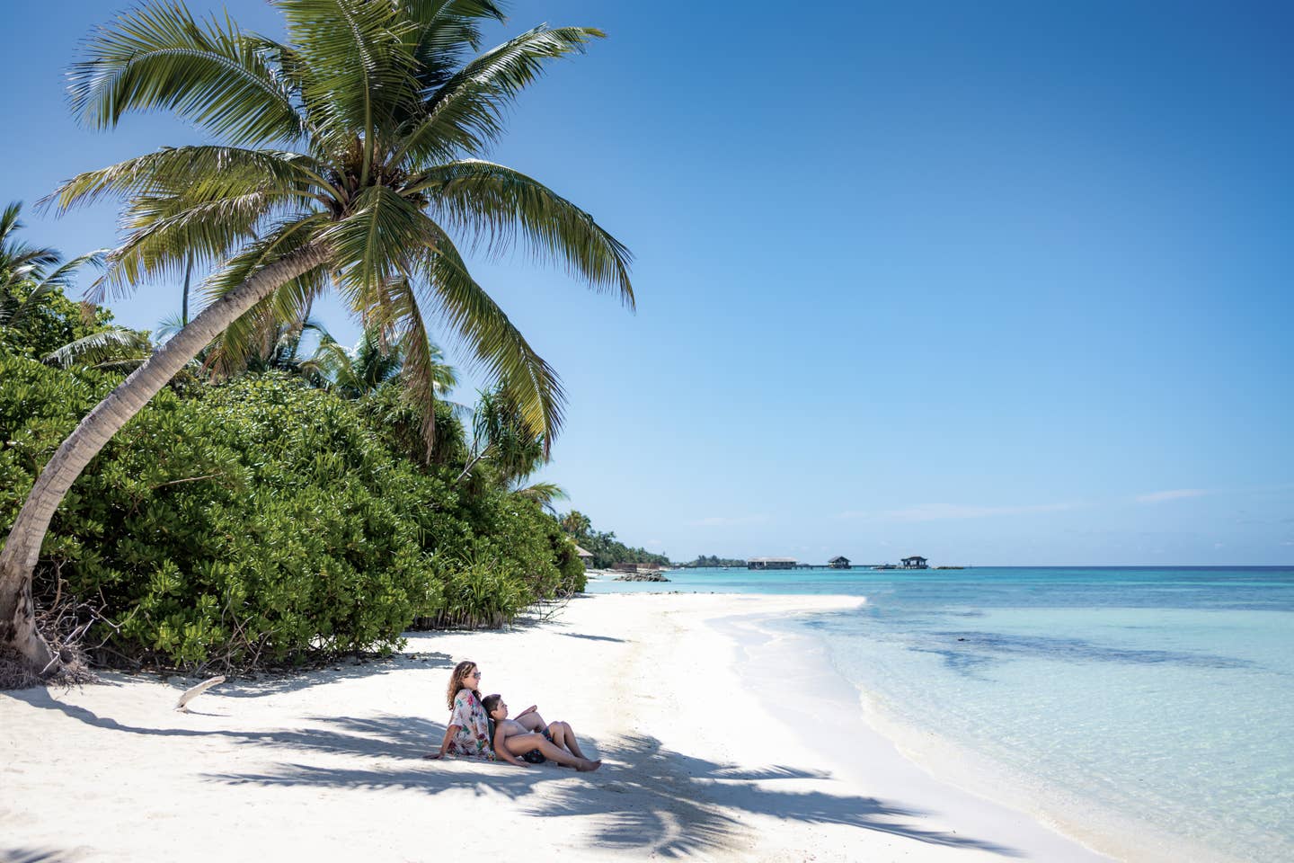 Familienurlaub in der Karibik - unter Palmen am Strand relaxen