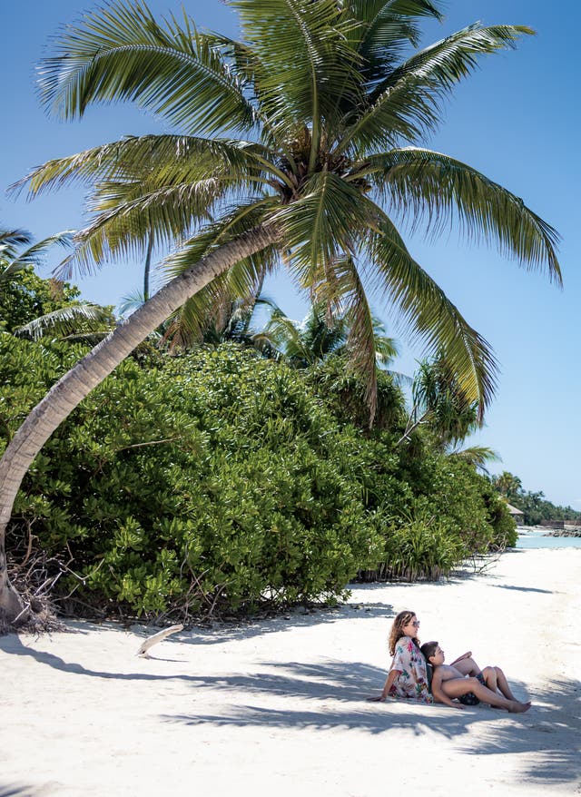 Familienurlaub Karibik Familienurlaub in der Karibik - unter Palmen am Strand relaxen