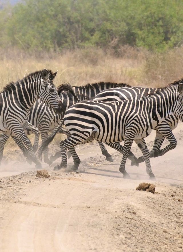 Mitarbeiter-Tipp – Kenia