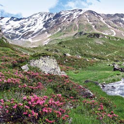 Hotels in Graubünden