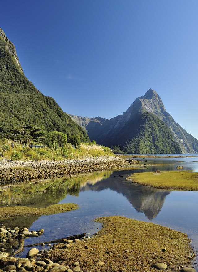 Hotel in Neuseeland buchen Neuseeland milford