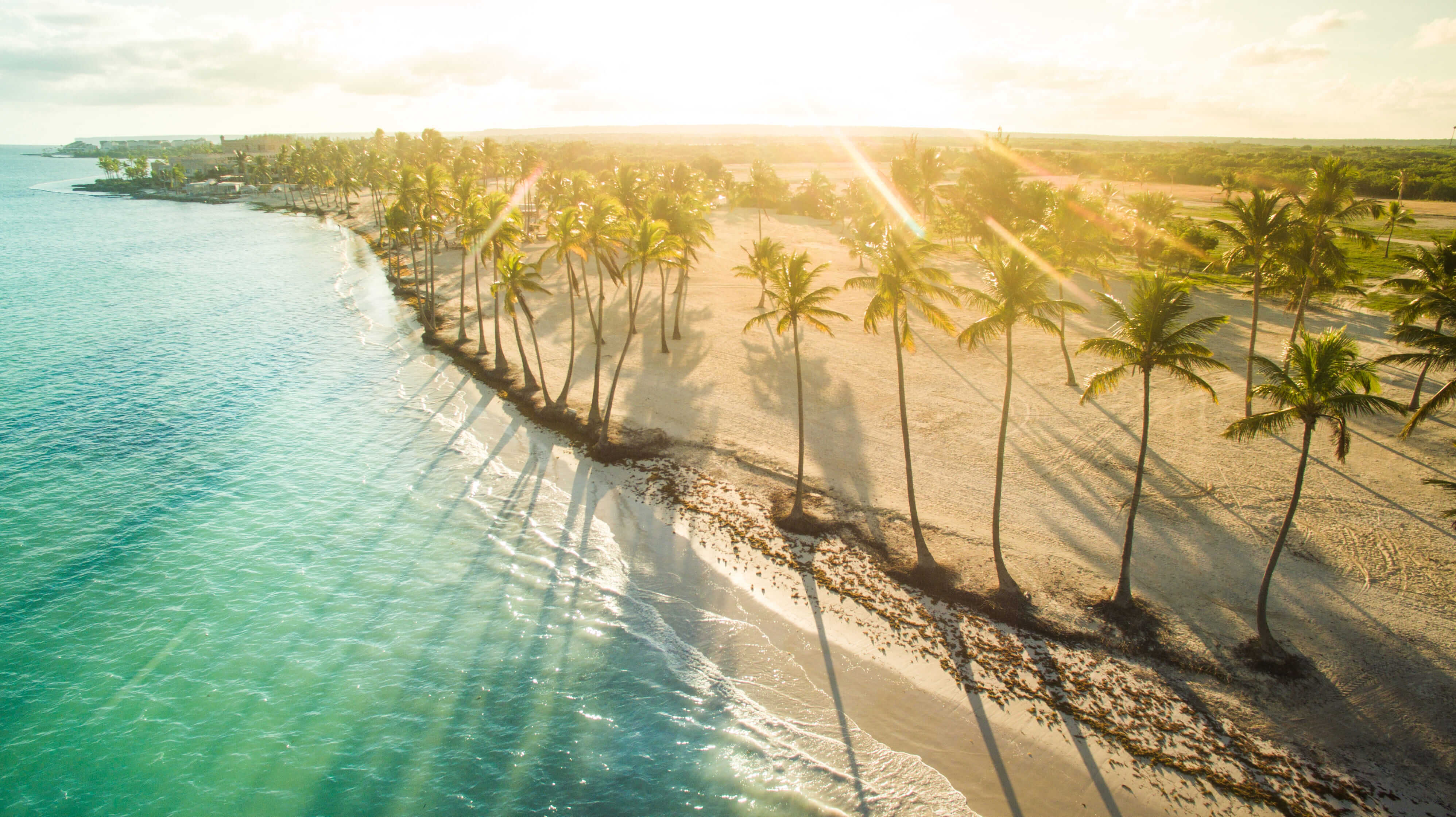 DERTOUR Reisemagazin - Blick auf einen Strand mit Palmen