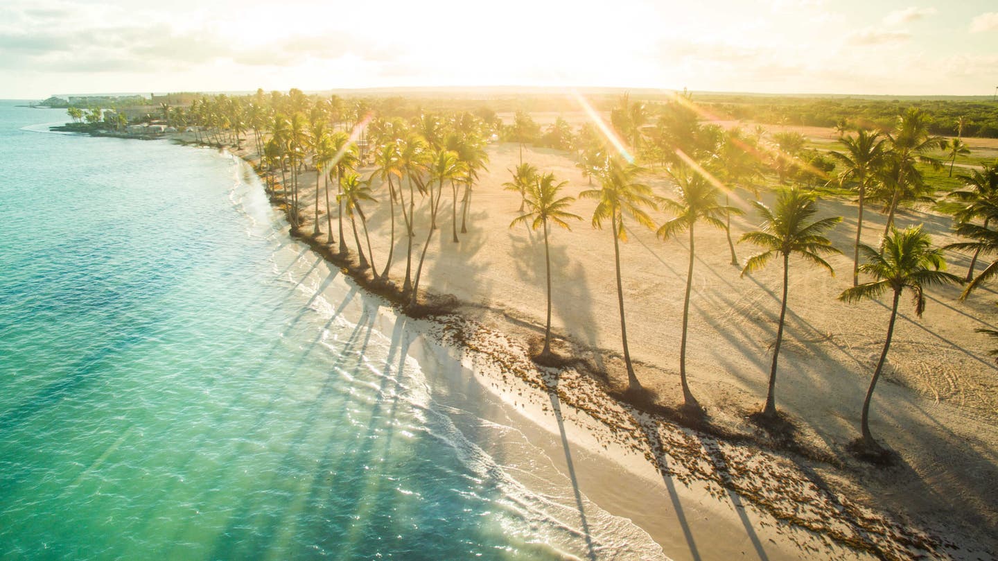 Unsere Reiseideen: Palmen am sonnigen Strand