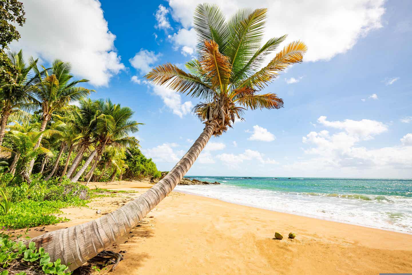 Urlaub auf Puerto Rico – Flamenco Beach