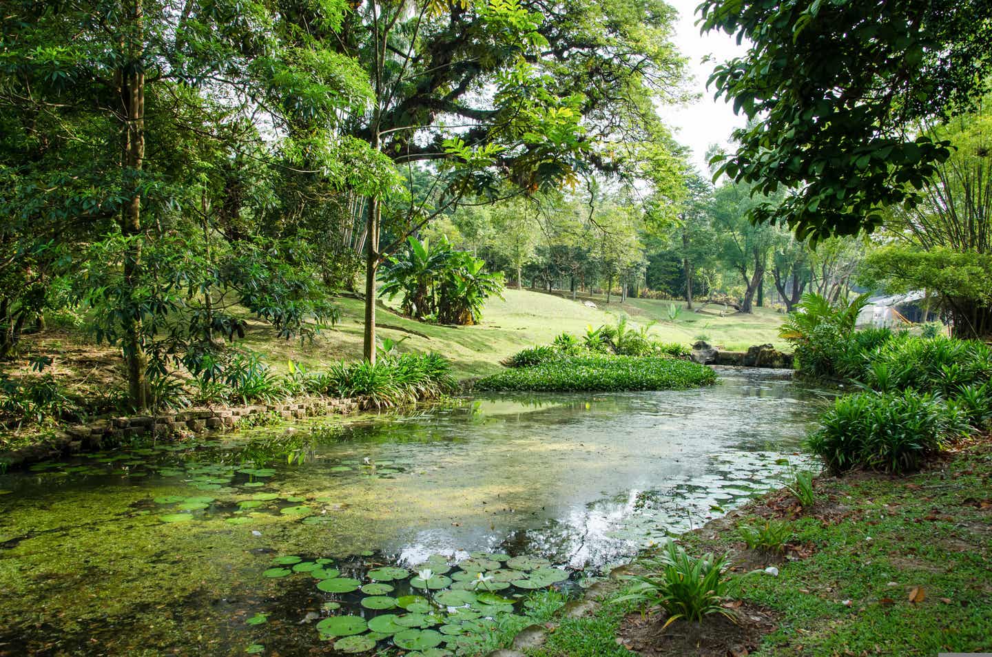 Urlaub in Kuala Lumpur – Perdana Botanical Gardens