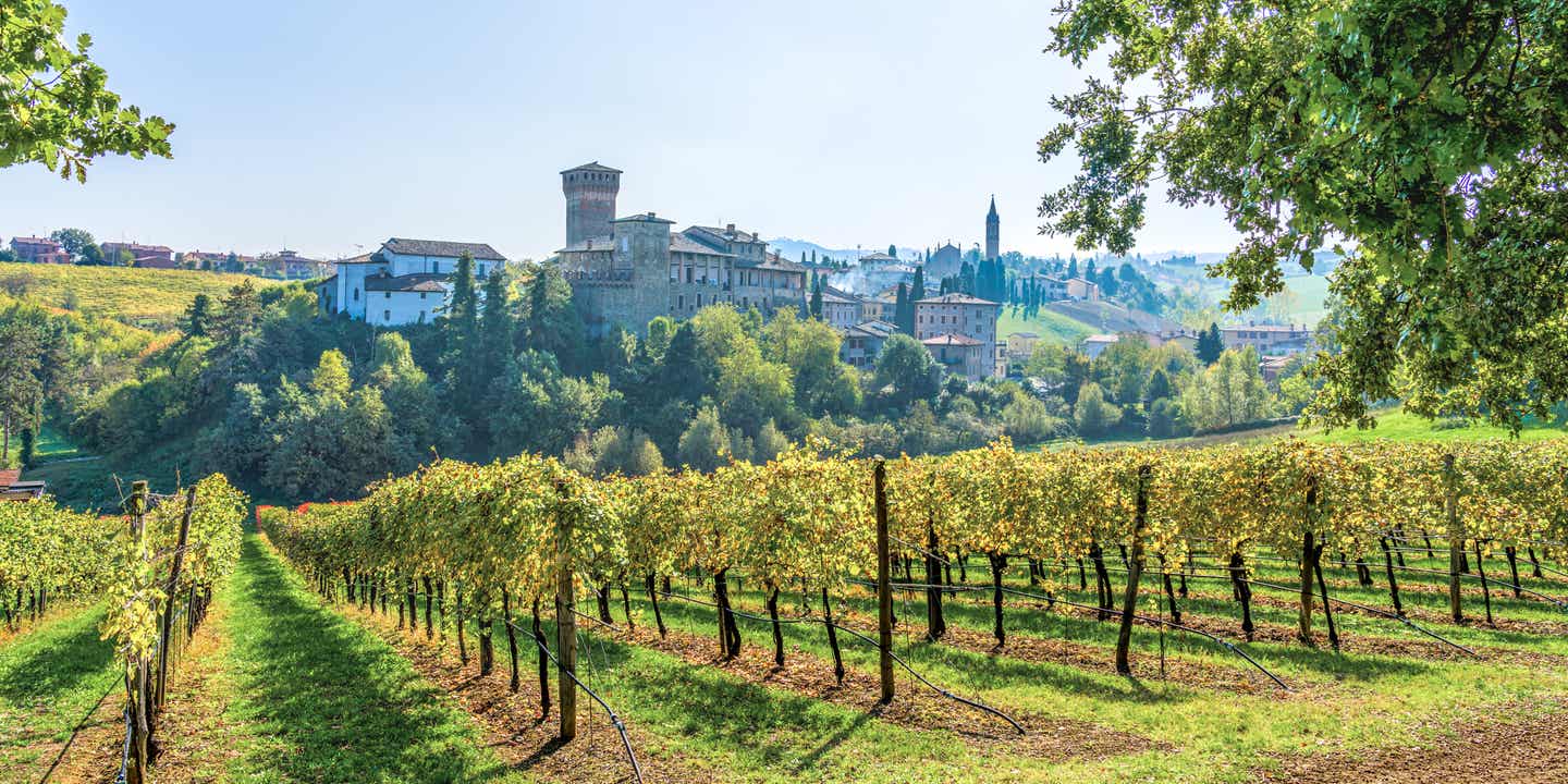 Grüne Hänge mit Weinreben und das Schloss von Levizzano Rangone im Hintergrund