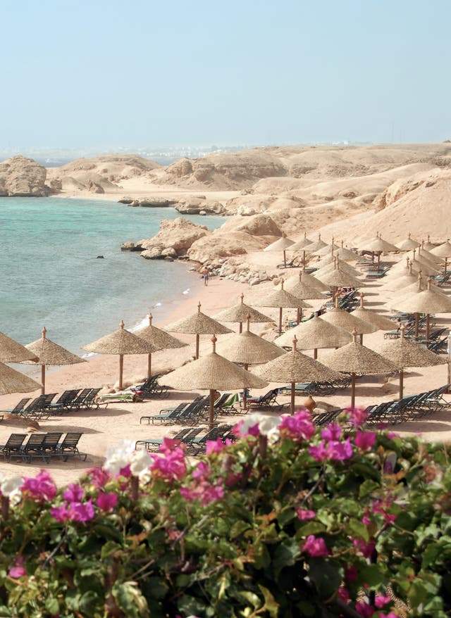 Zu den Angeboten Ägypten Urlaub Sharm El Sheikh Strand mit Sonnenschirmen