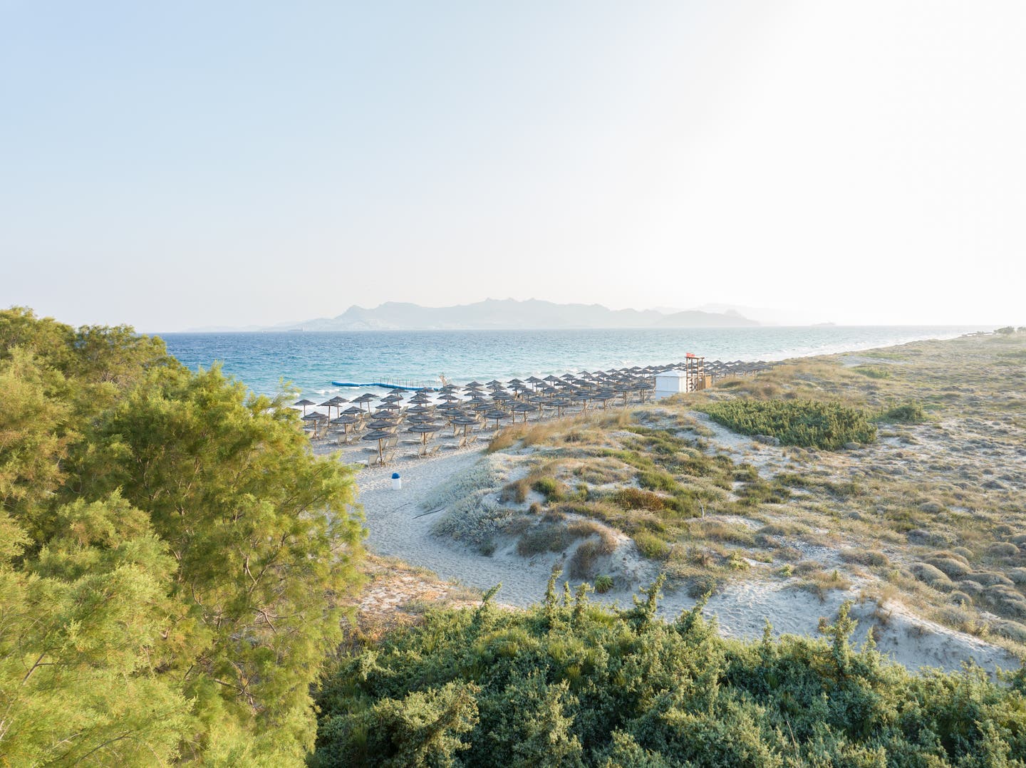Blick auf den Strand Richtung Meer mit Büschen im Vordergrund