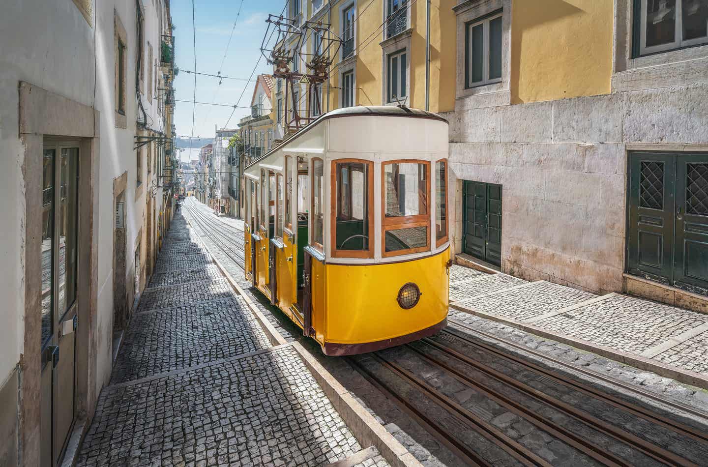 Lissabon im März entdecken