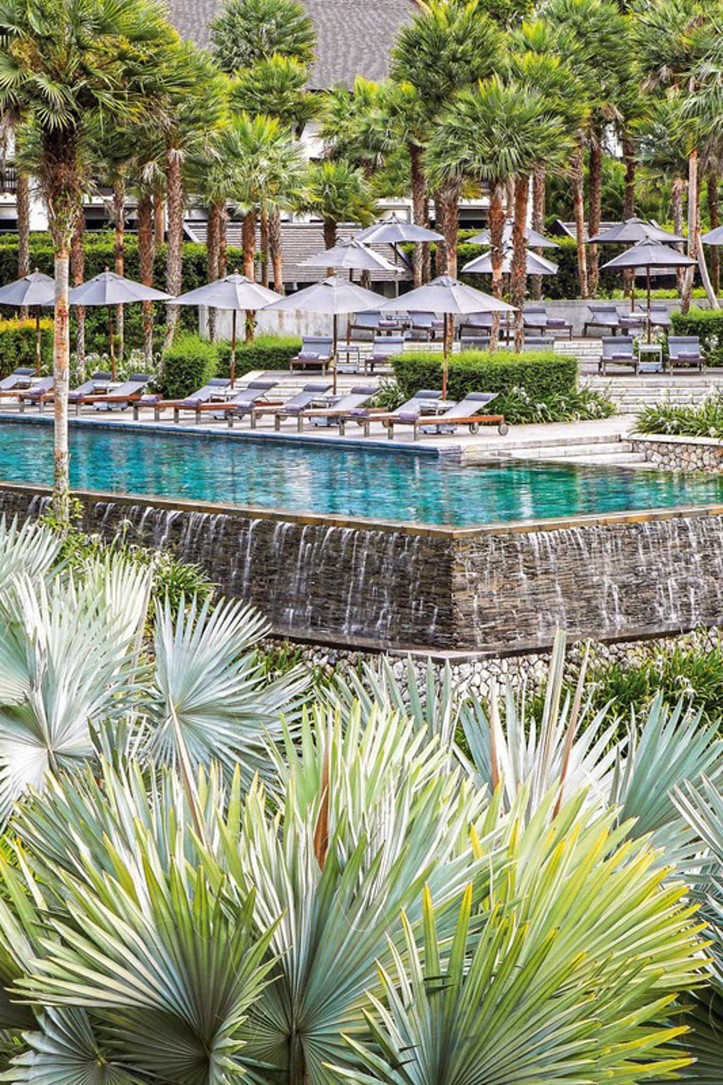 Pool und Palmes im The Slate