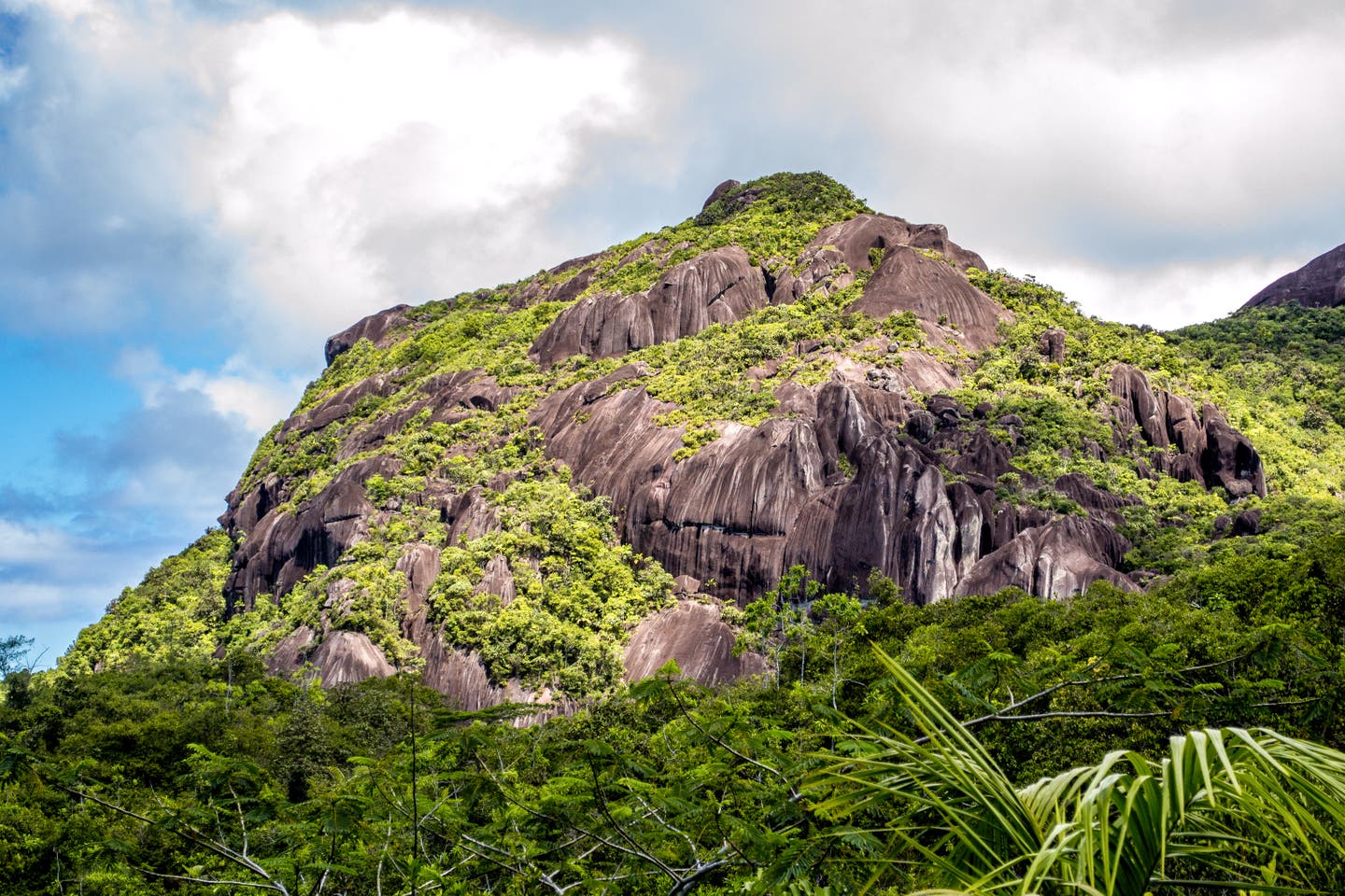 Der Gipfel des Morne Seychellois auf den Seychellen