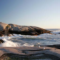 kanada-nova-scotia-peggys-cove-leuchtturm-g-174895177.jpg