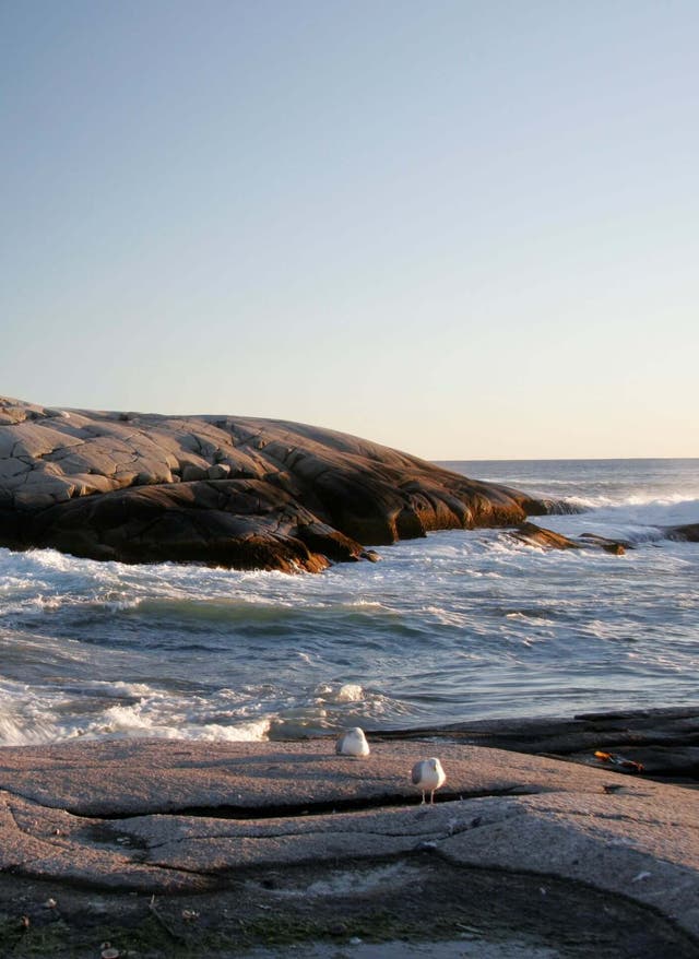 Tipps für Nova Scotia