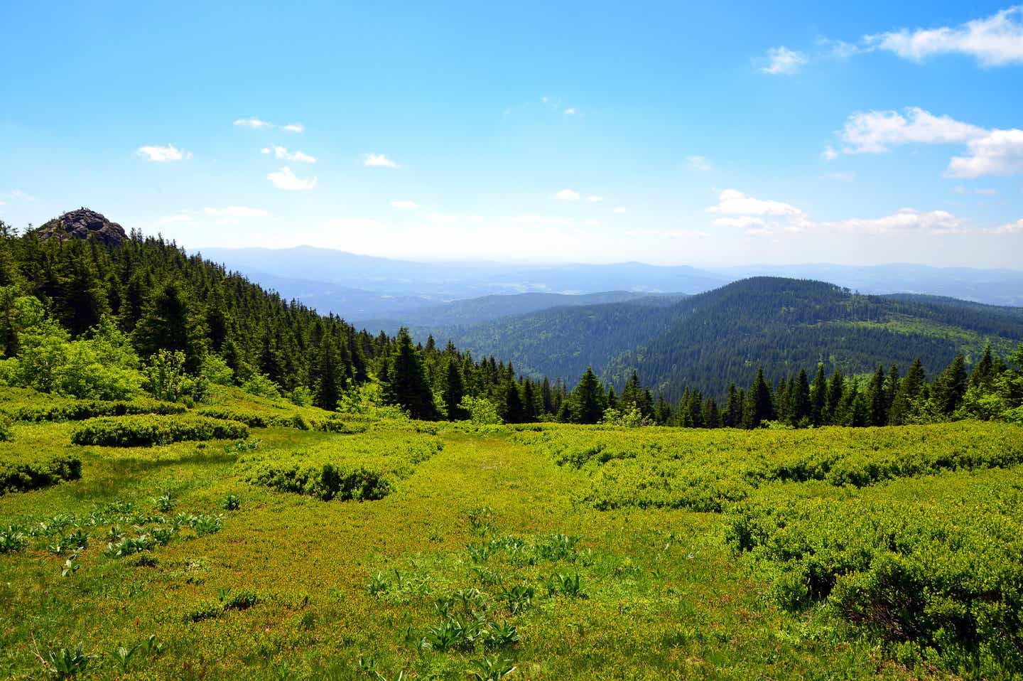 See im Bayerischen-Wald-Urlaub bei Sonnenuntergang