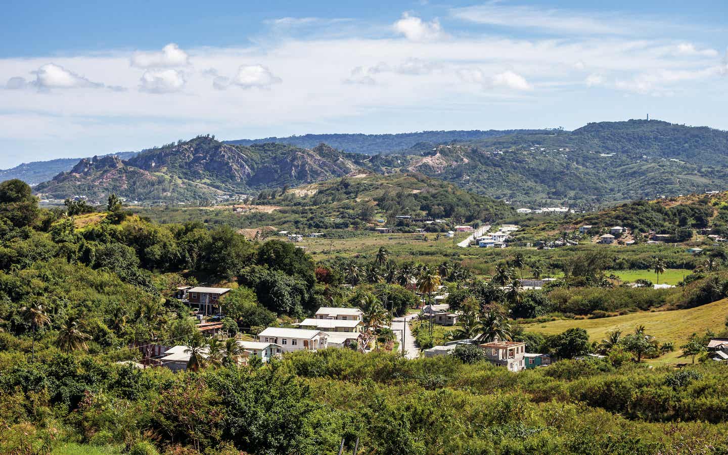 Barbados beste Reisezeit: Blick ins Tal vom Cherry Hill Tree