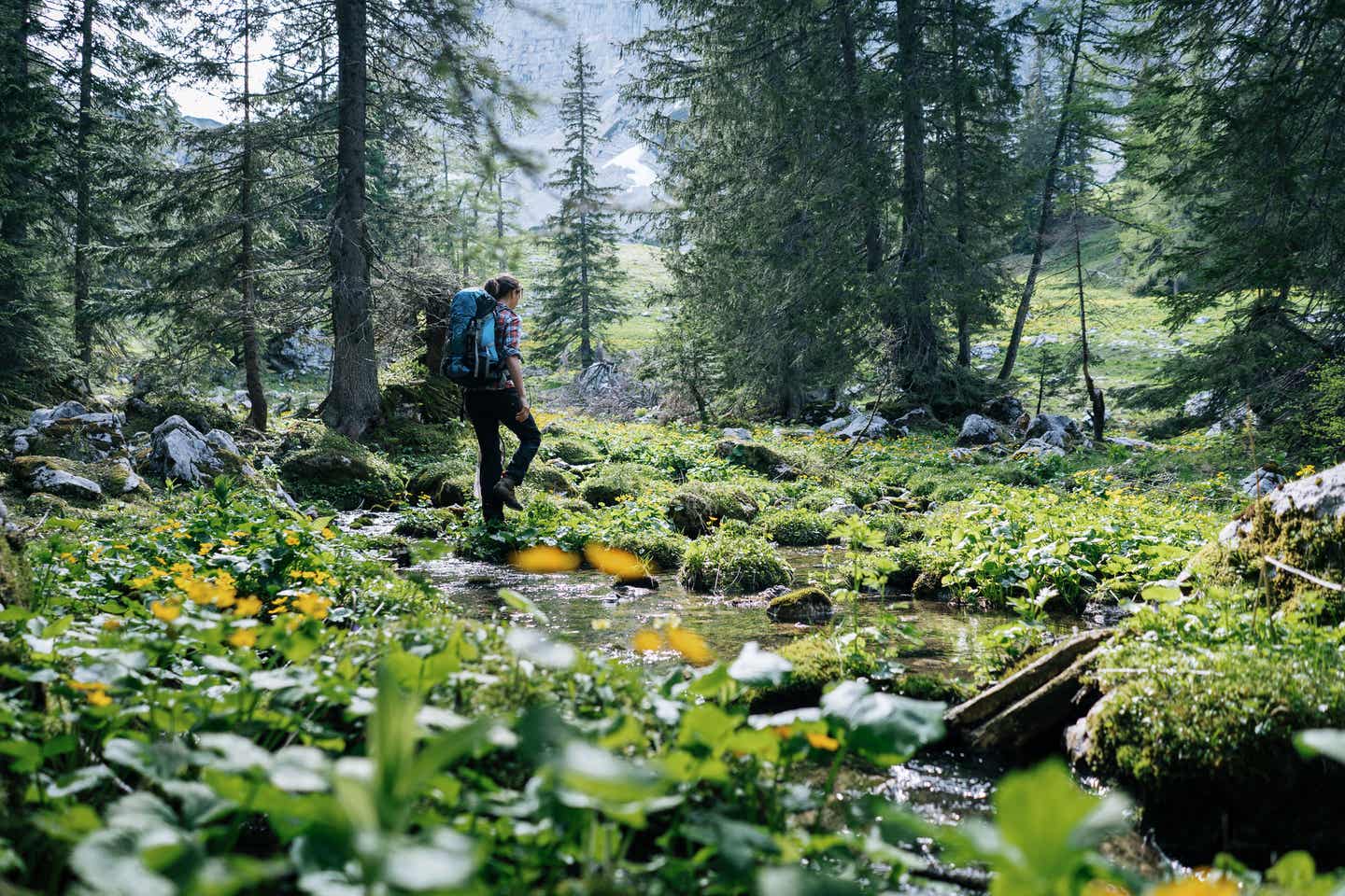 Steiermark Urlaub mit DERTOUR. Junge Frau wandert über Bergwiese