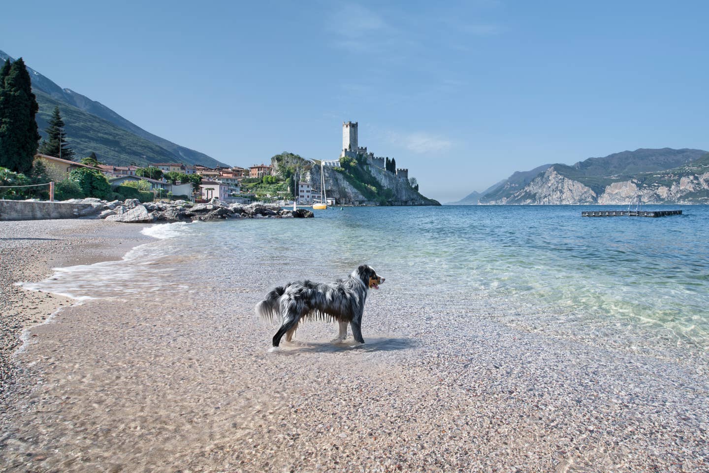 Urlaub mit Hund in Malcesine