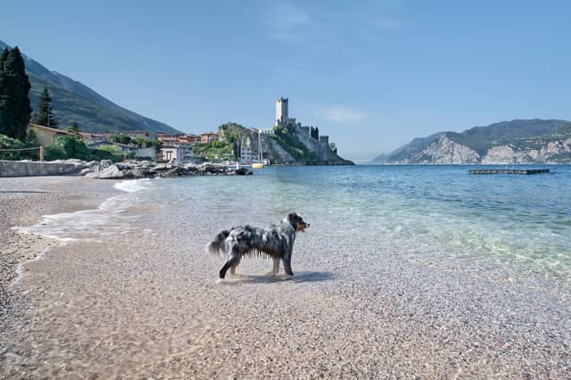 Italien Gardasee Urlaub Mit Hund