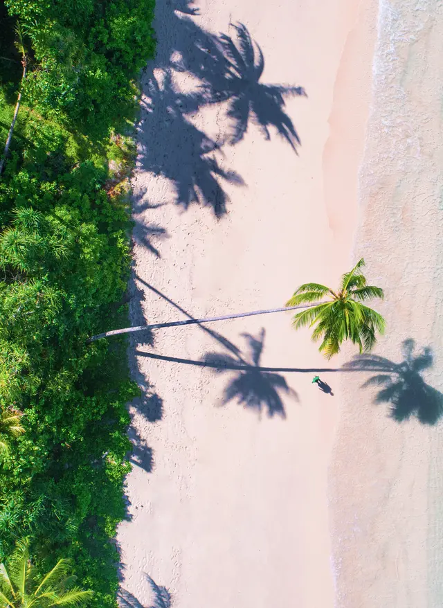 Last Minute Angebote entdecken Malediven Strand Palmen Meer