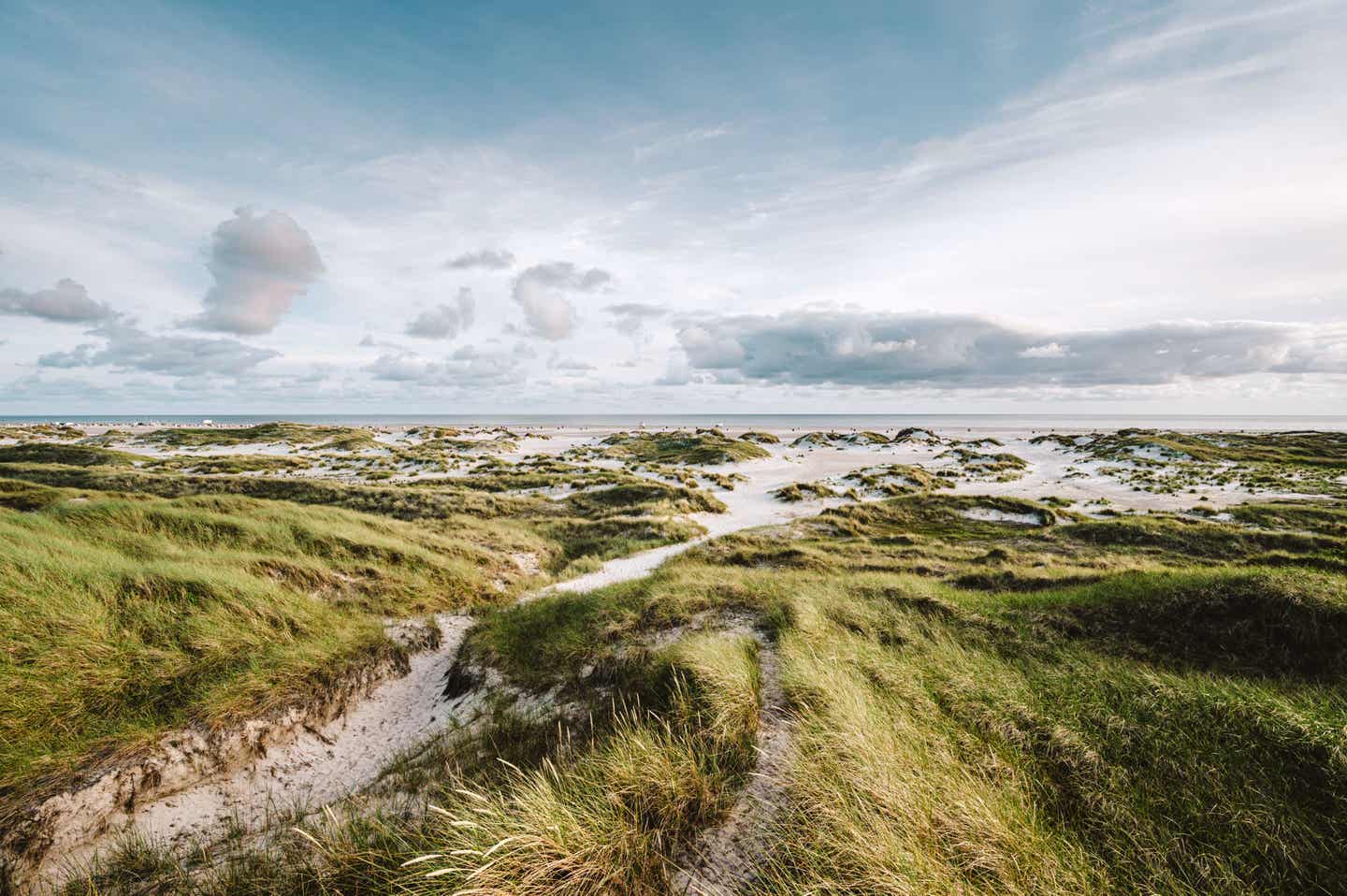 Trendreisen 2025: Das Wattenmeer in Schleswig-Holstein