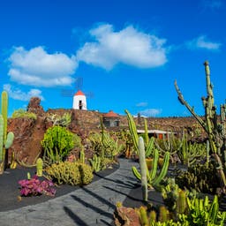 Pauschalreisen Lanzarote