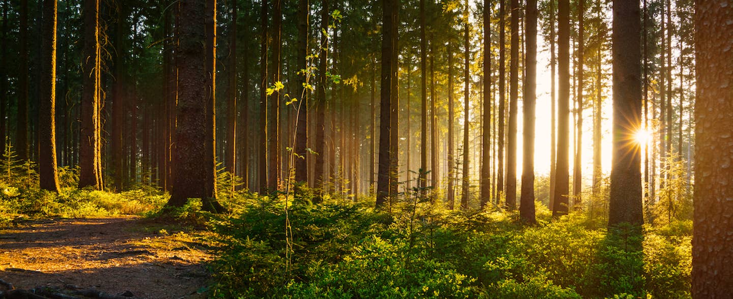 Wanderurlaub Deutschland - Wunderschöner Schwarzwald im Frühjahr