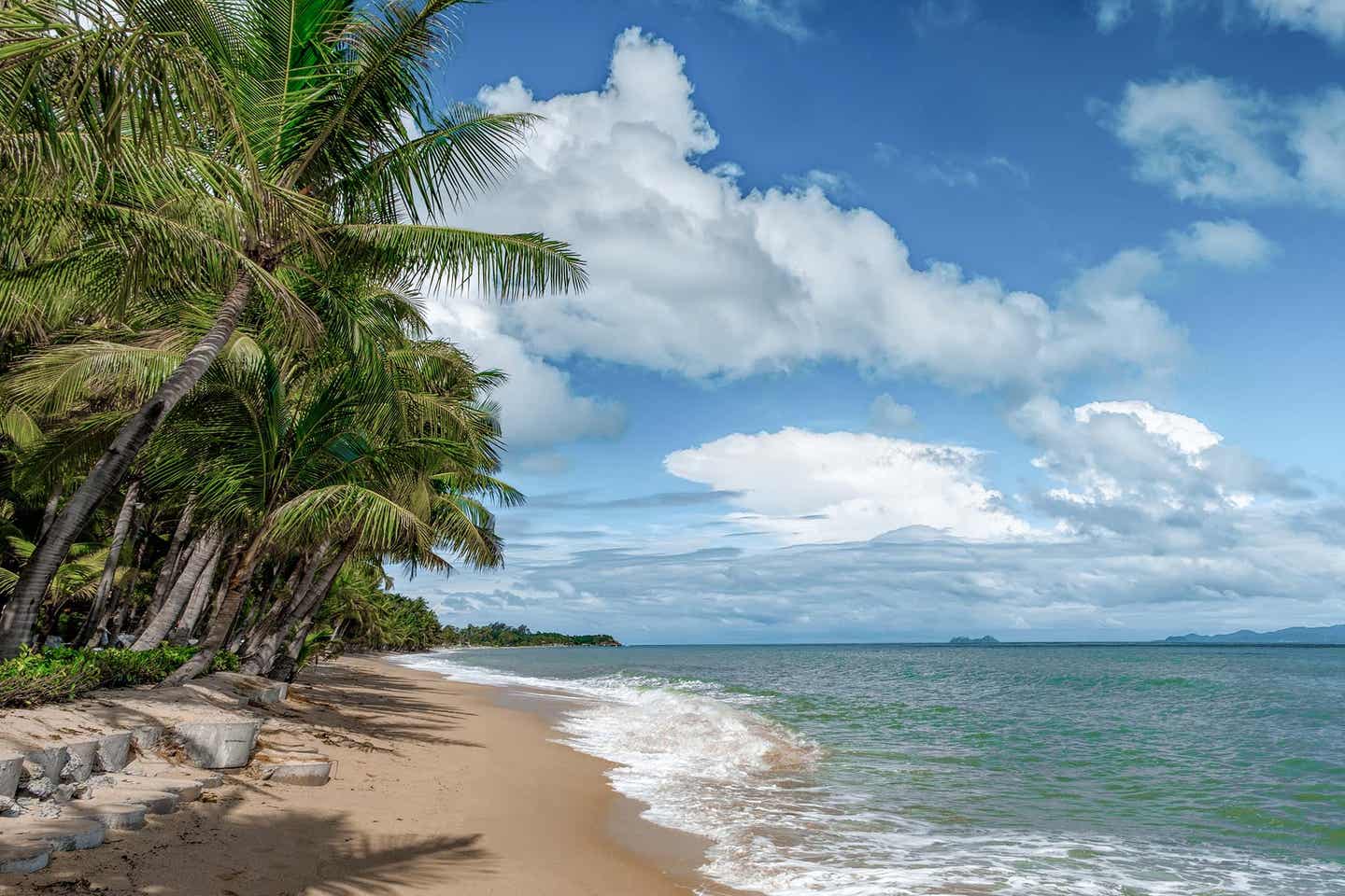 Tropisches Meer und Palmen am Maenam Beach