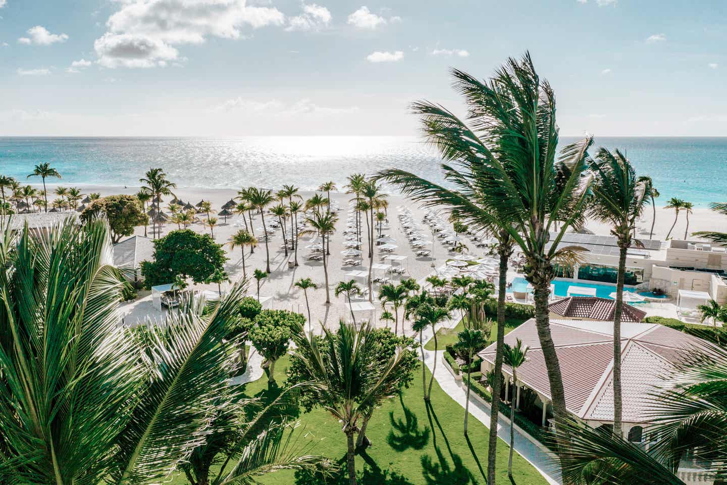 Karibik: eines der besten Hotels ist das Bucuti und Tara Beach Resorts auf Aruba
