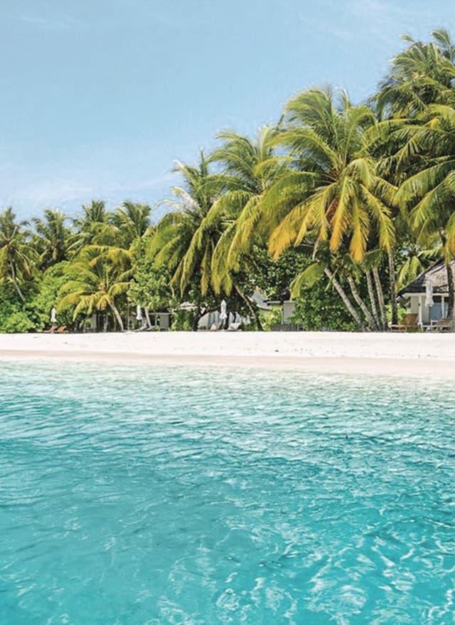 Hotels mit Privatstrand Malediven: Lux South Ari Atoll Resort und Villas