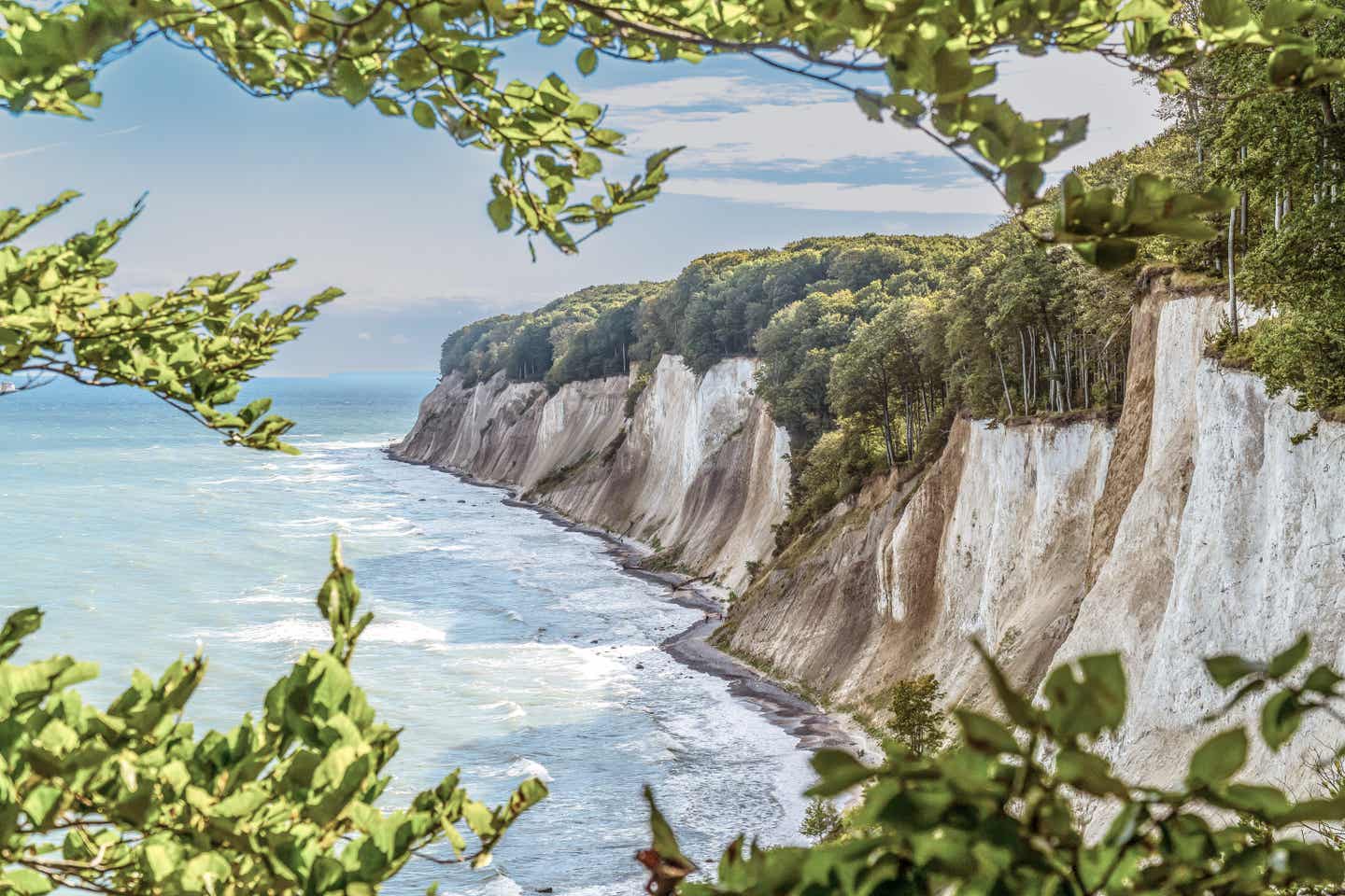 Rügen Urlaub mit DERTOUR. Kreidefelsen im Naturpark Jasmund aus dem Wald heraus fotografiert