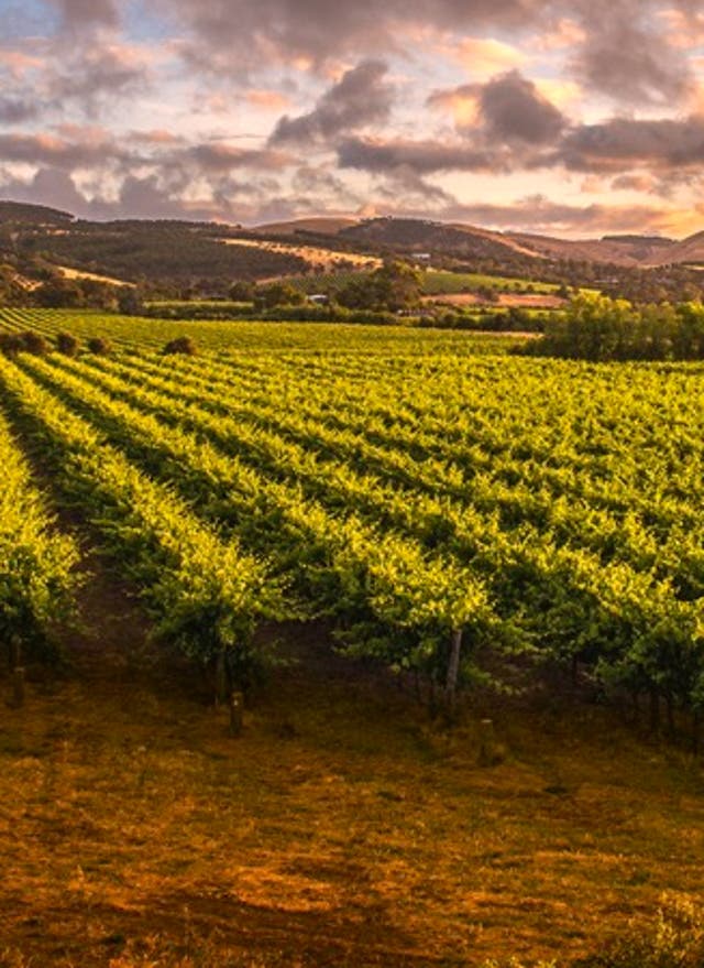 Zur Autoreise Great Ocean Road & Barossa Valley Rundreise