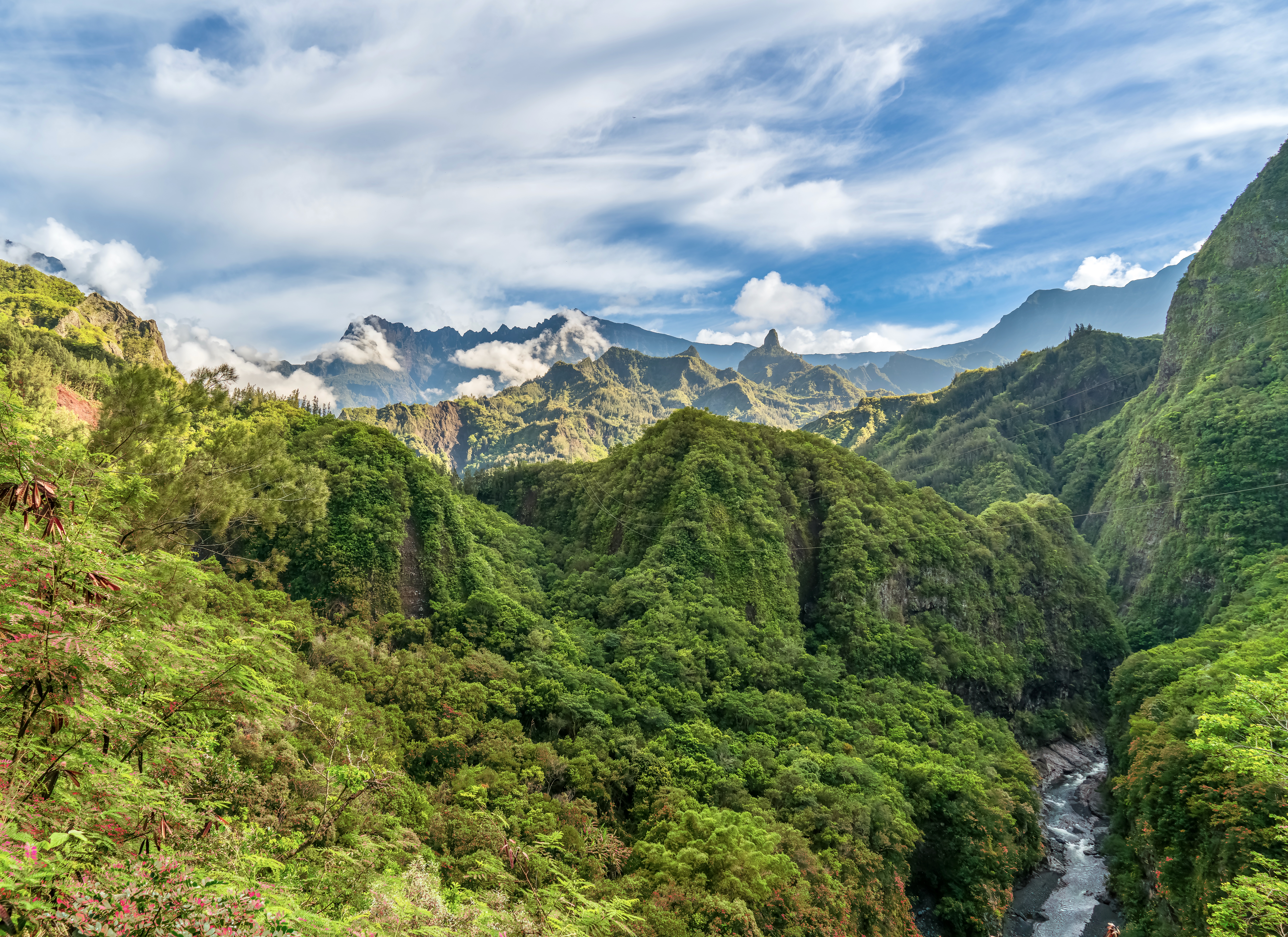 Trendreisen 2026: Ab nach La Réunion: Blick auf einen grünen Nationalpark auf der Insel im Indischen Ozean
