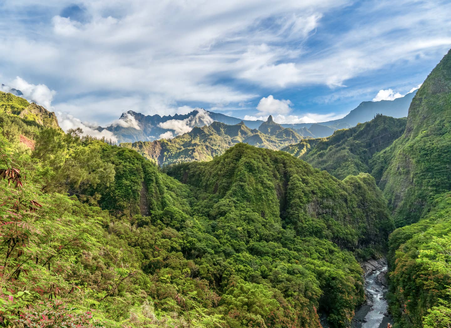 Trendreisen 2026: Ab nach La Réunion: Blick auf einen grünen Nationalpark auf der Insel im Indischen Ozean Trendreisen 2026: Ab nach La Réunion: Blick auf einen grünen Nationalpark auf der Insel im Indischen Ozean