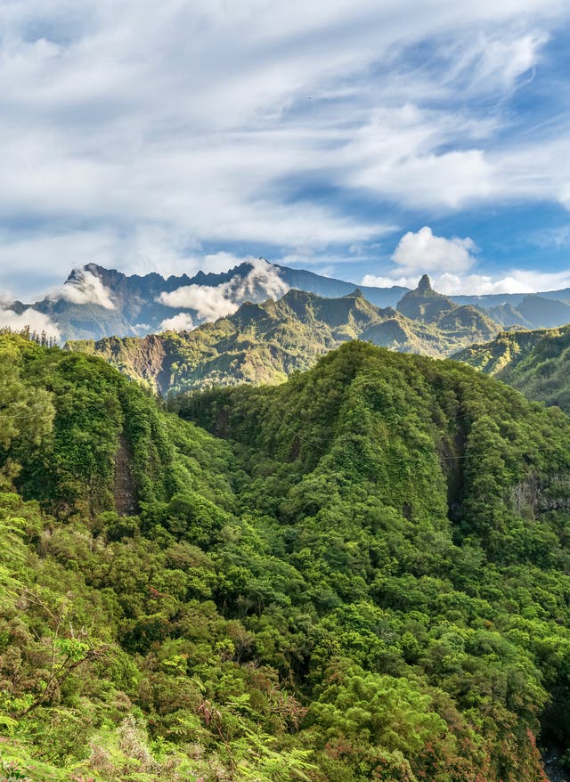 Trendreisen 2026 Trendreisen 2026: Ab nach La Réunion: Blick auf einen grünen Nationalpark auf der Insel im Indischen Ozean