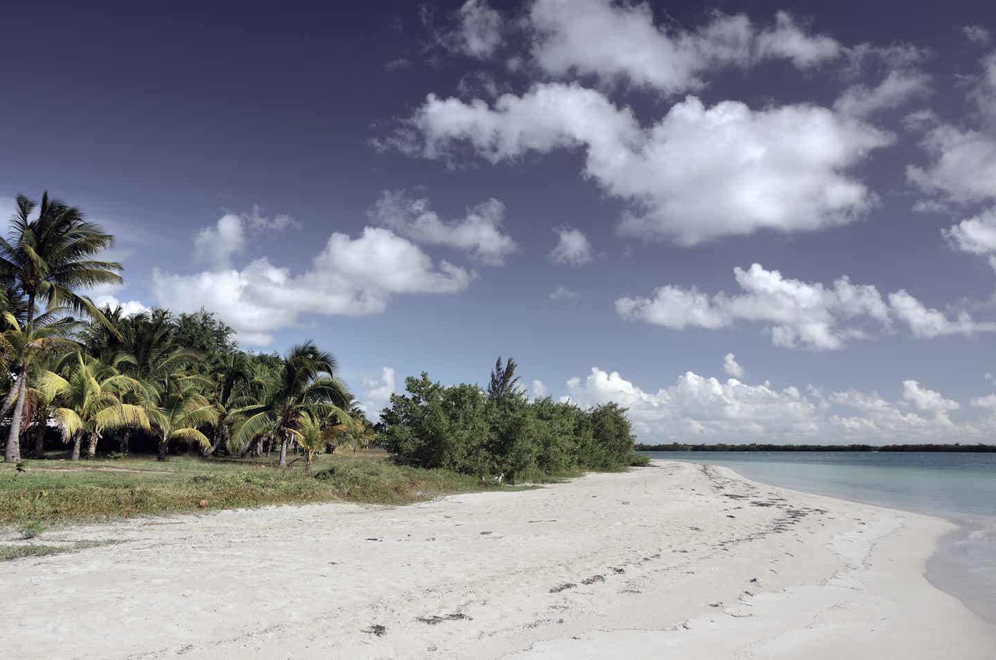 Varadero Urlaub mit DERTOUR. Menschenleerer Strand mit Palmen in Varadero