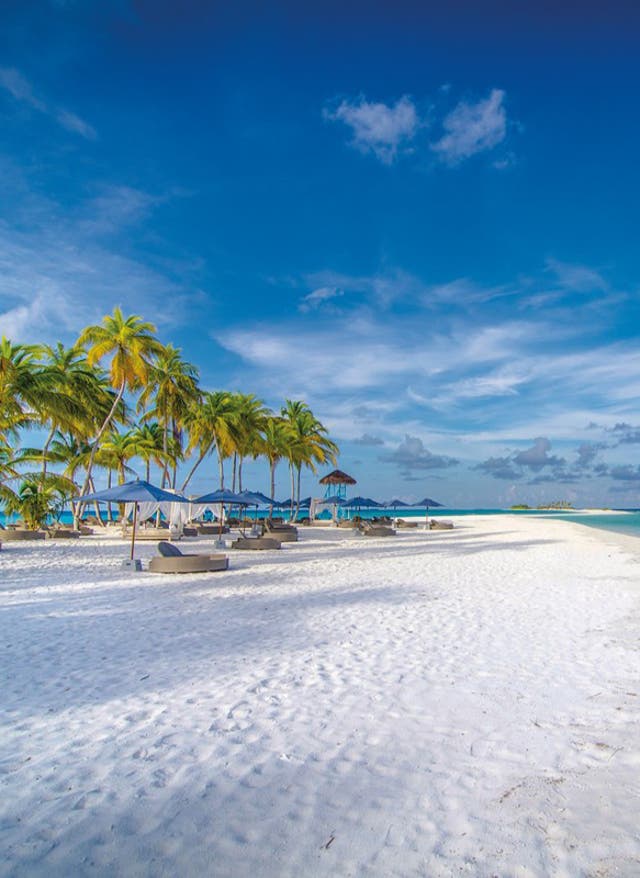 Malediven Strand Weißer Sandstrand auf den Malediven mit glasklarem Wasser und grünen Palmen
