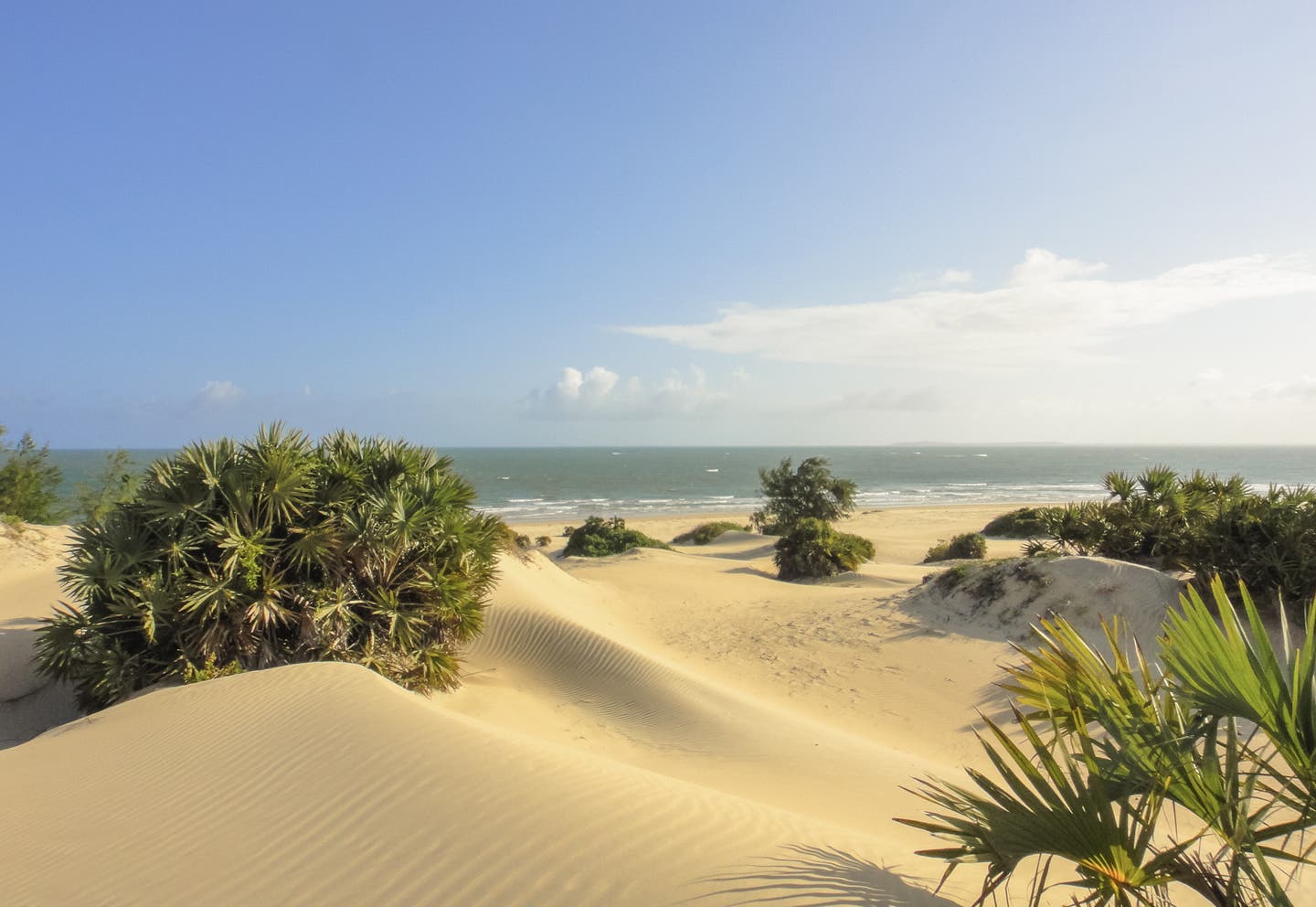 Kenia Strände: Shela Beach auf der Insel Lamu