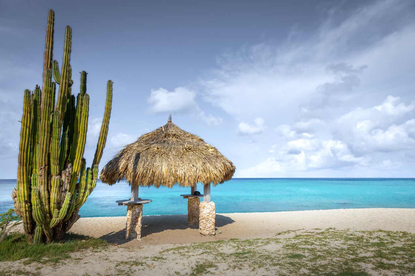 Karibik schönste Inseln: Kaktus und Palapa am Strand von Aruba