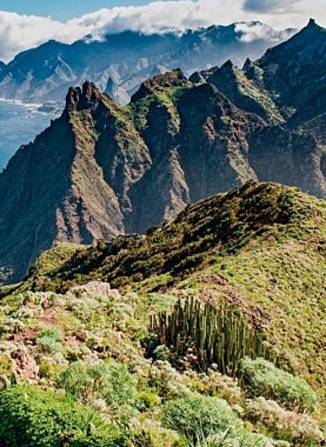 Zur Rundreise Teneriffas Highlights erwandern