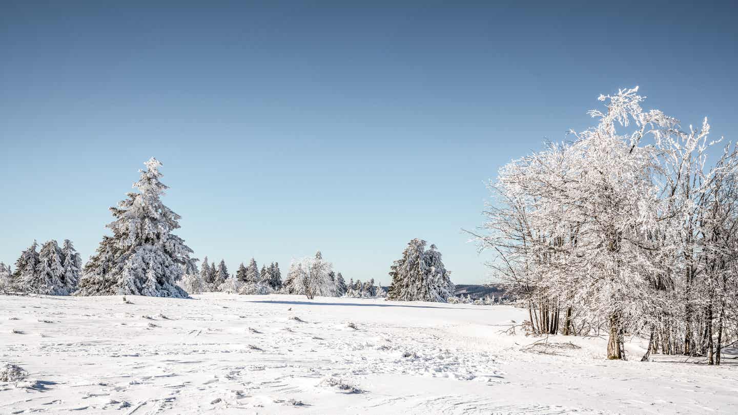 Sauerland Urlaub mit DERTOUR. Winterlandschaft auf dem Berg Kahler Asten