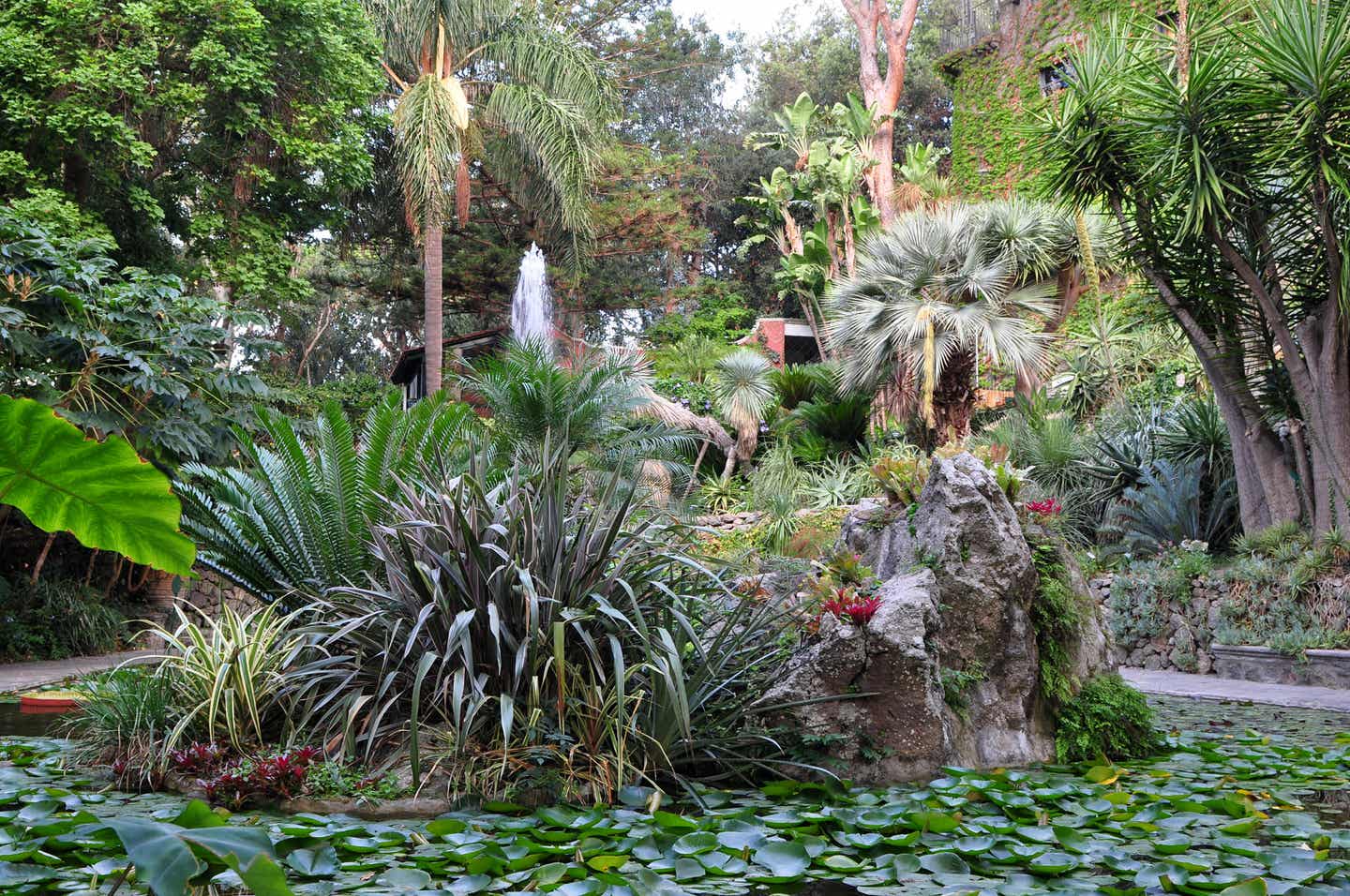 Urlaub auf Ischia – der Garten „La Mortella“