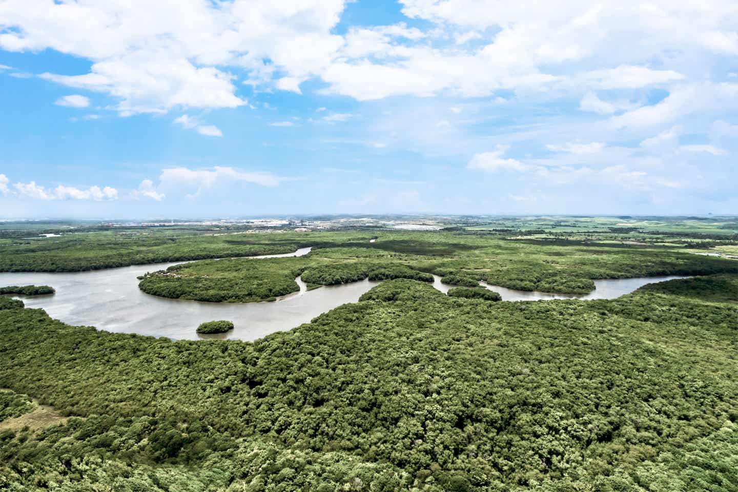 Naturwunder - Der Amazonas in Südamerika